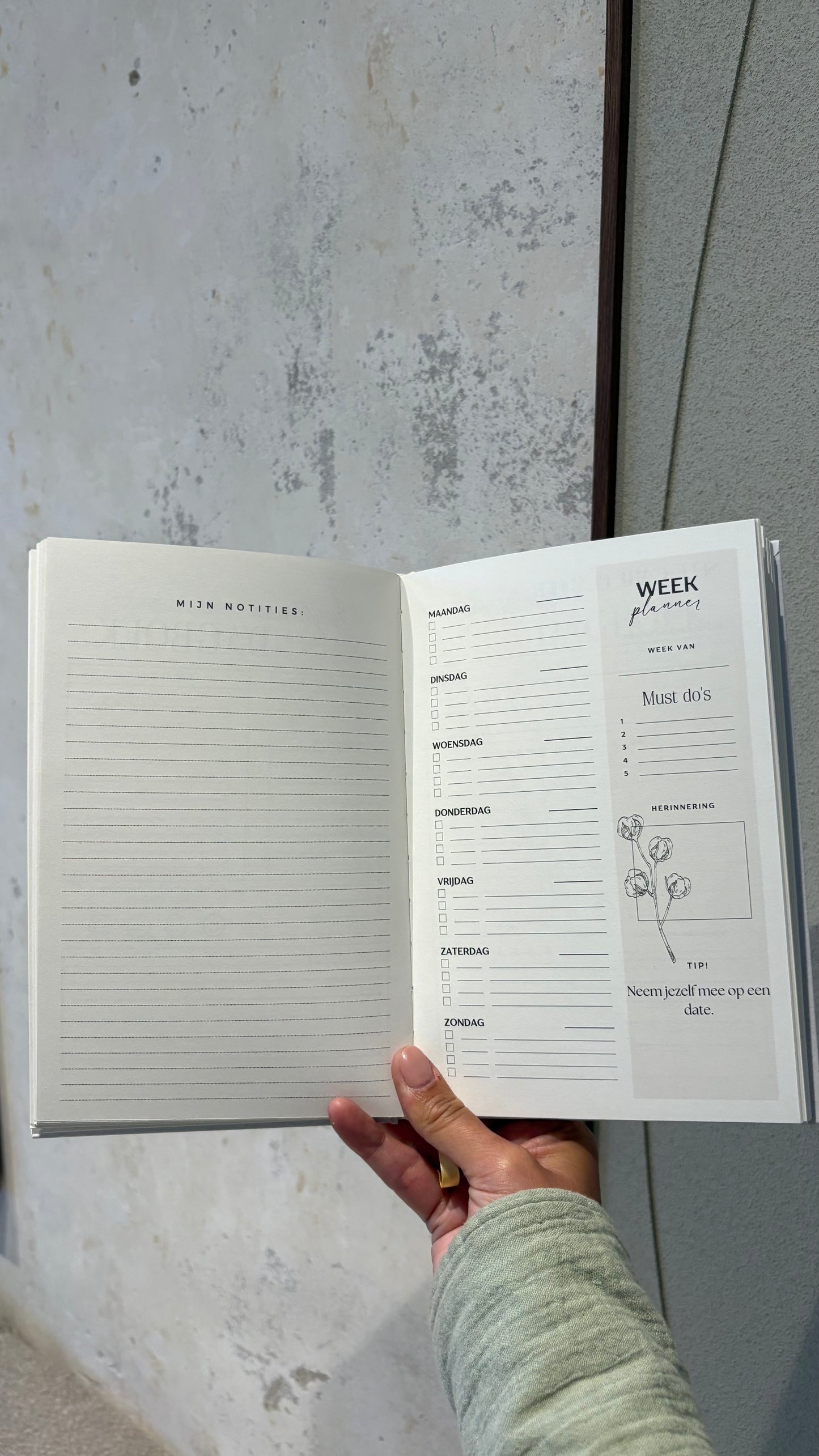 My chronic illness journal