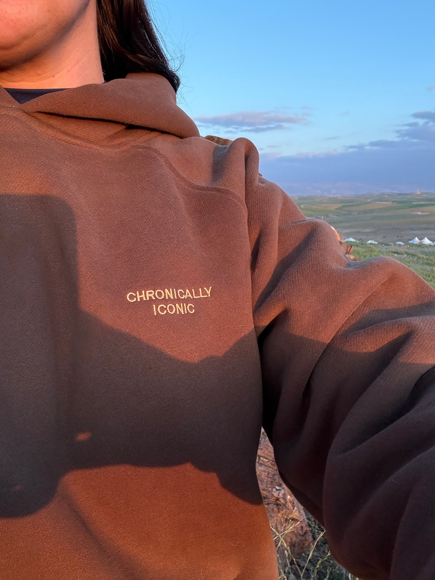 Chronically iconic hoodie.
